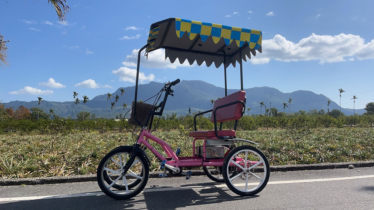雙人電動遊園車 Lovers' Surrey Bike (with electric motor) 雙人電動遊園車 Lovers' Surrey Bike (with electric motor)